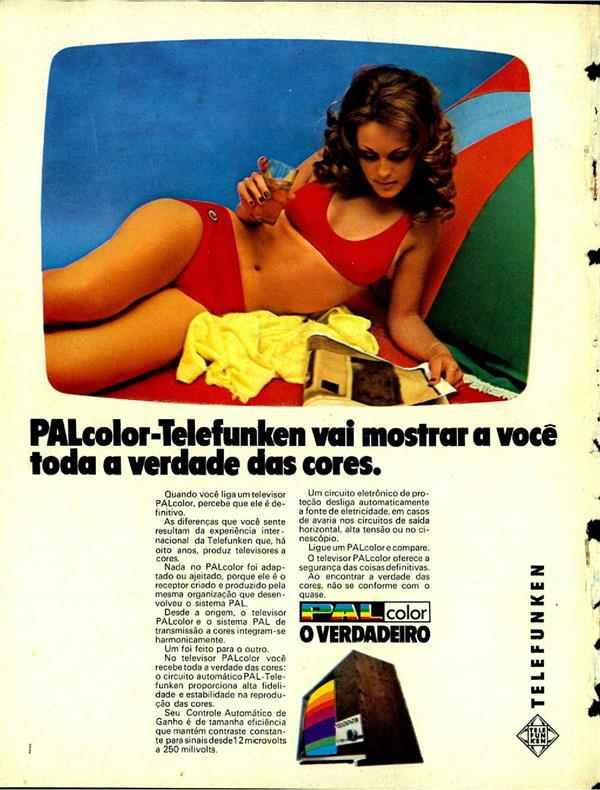 Televisão
