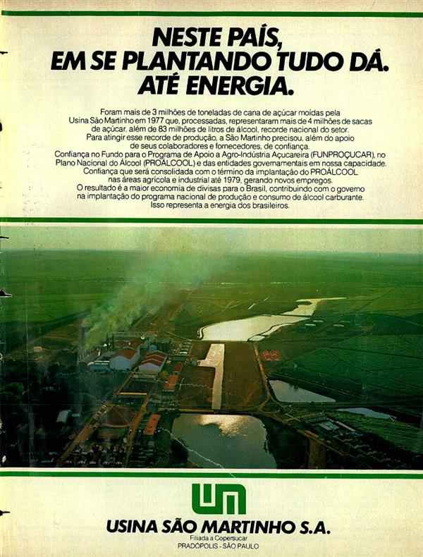 Neste país, em se plantando tudo dá. Até energia.