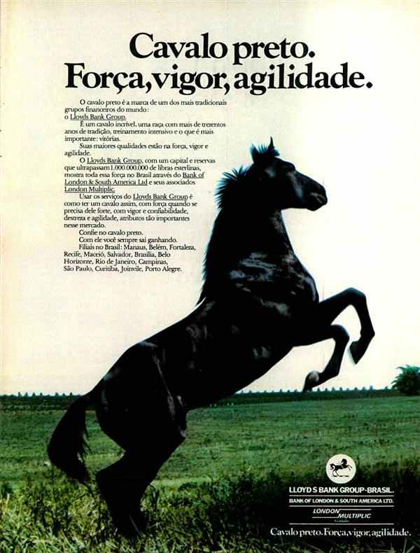 Cavalo preto. Força, vigor, agilidade.