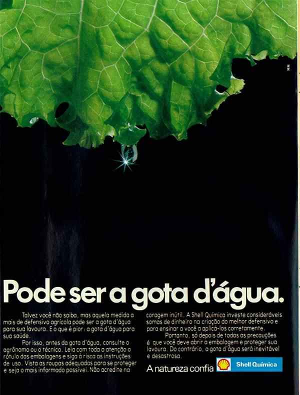 Shell Química