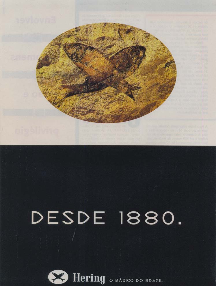 Hering o básico do Brasil.