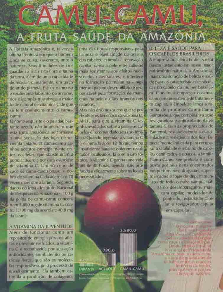 Informe Publicitário