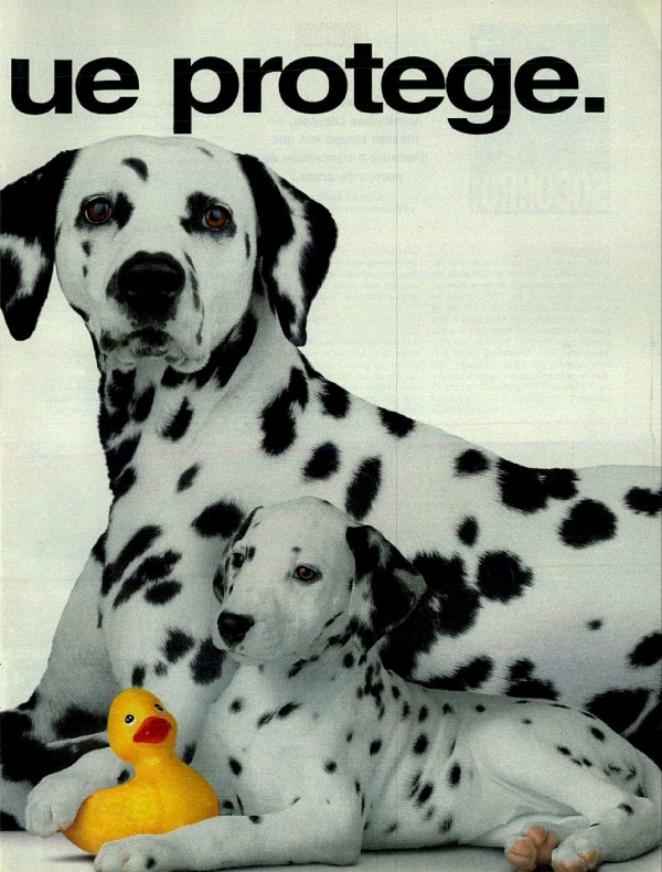 Alpo