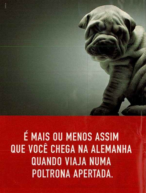 Serviços Aéreos