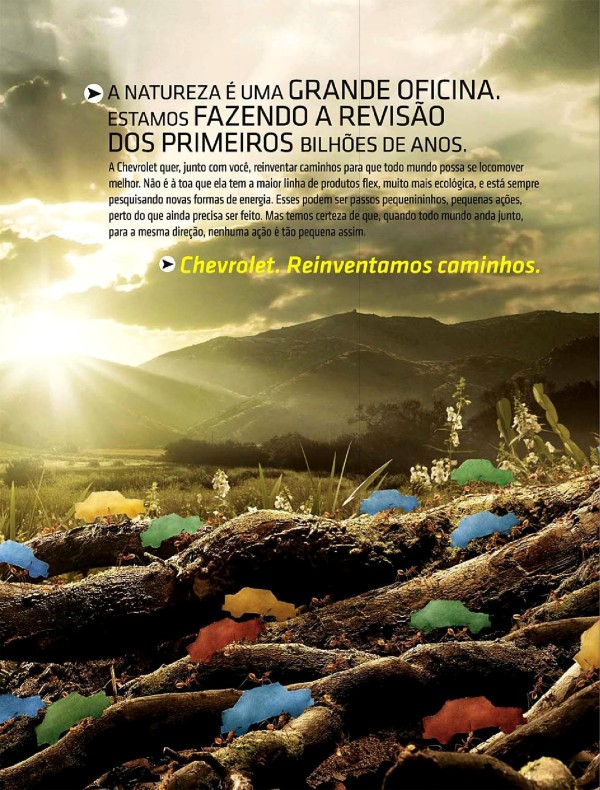 A natureza é uma grande oficina. Estamos fazendo a revisão dos primeiros bilhões de anos.