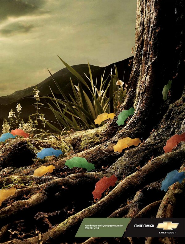 A natureza é uma grande oficina. Estamos fazendo a revisão dos primeiros bilhões de anos.