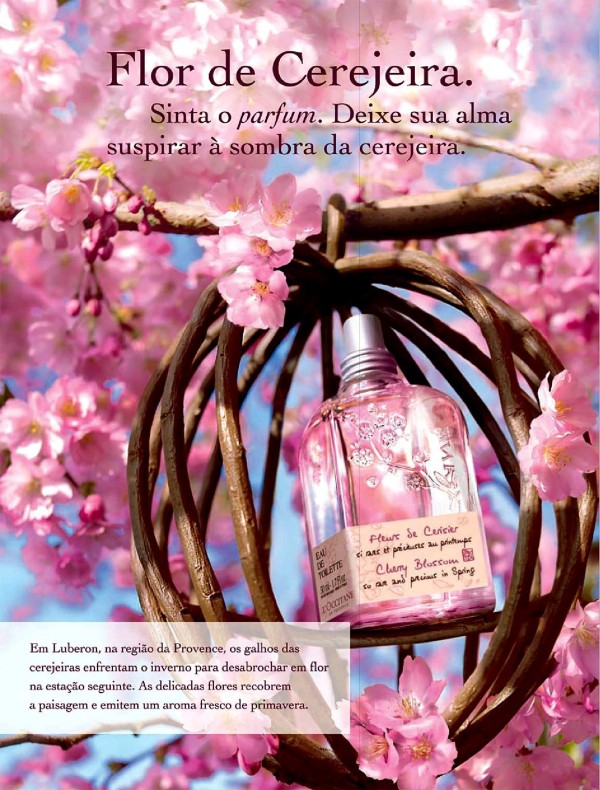 Immortelle